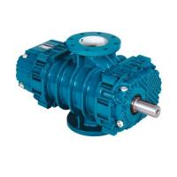 Воздуходувка роторная промышленная Robuschi ROBOX RBS 165
